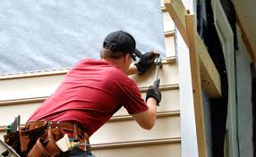 Best Historical Building Siding Restoration  in Mount Vernon, MD